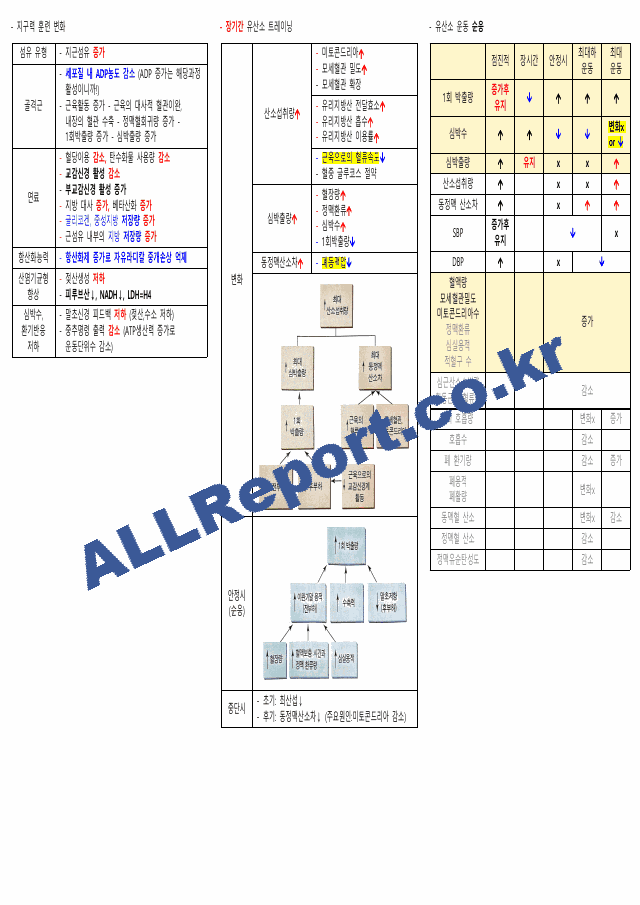 생리학 요약본(시험관련) 카셉운동사 (9 페이지)